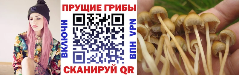 Галлюциногенные грибы Magic Shrooms  купить  цена  ссылка на мегу ONION  Ноябрьск 